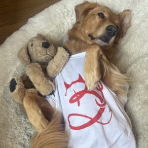 Un adorable perrete posando con una camiseta blanca con el logo de Barbijaputa en. rojo.